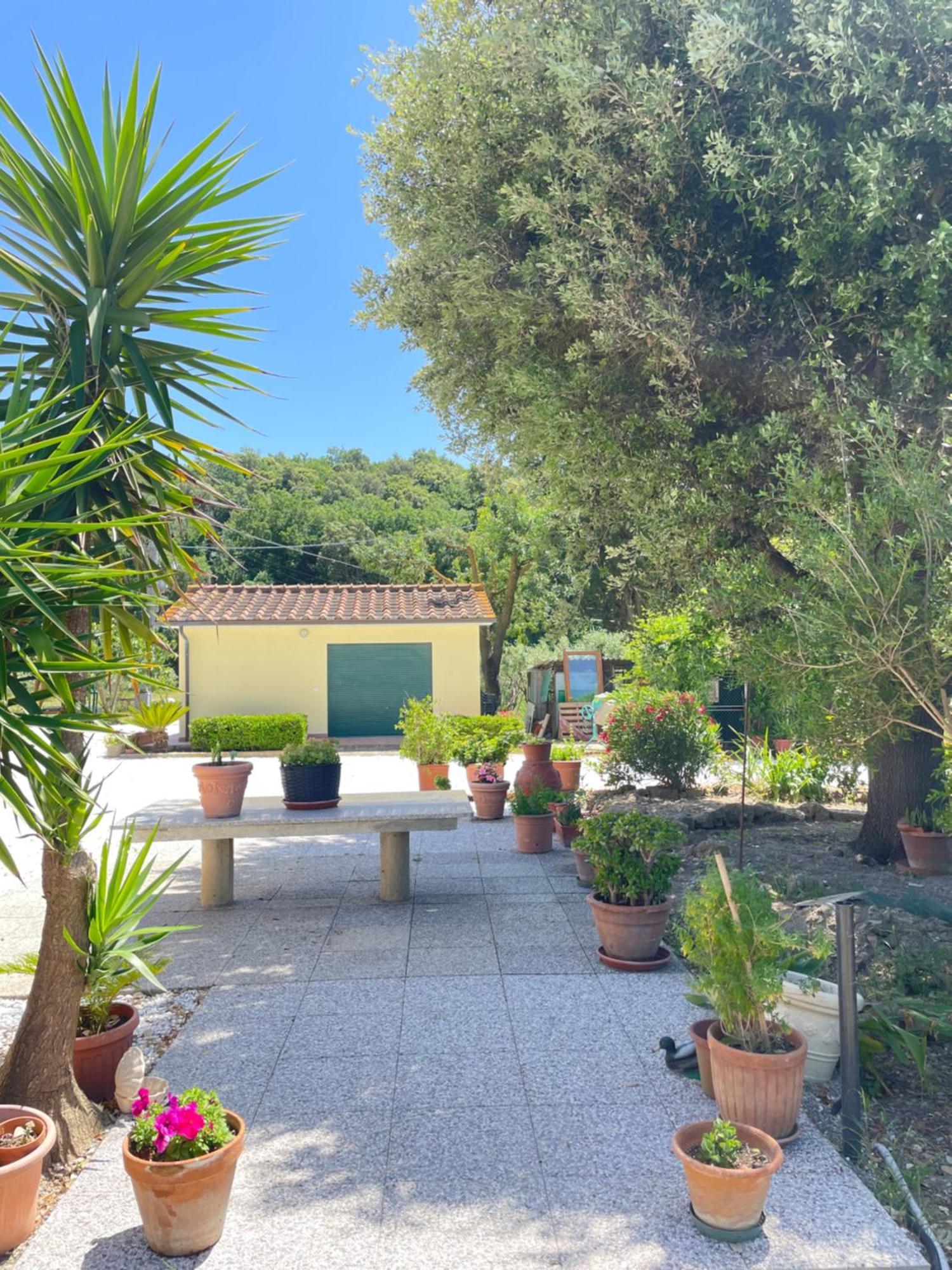 Il Leccio Agriturismo Fiorino المظهر الخارجي الصورة