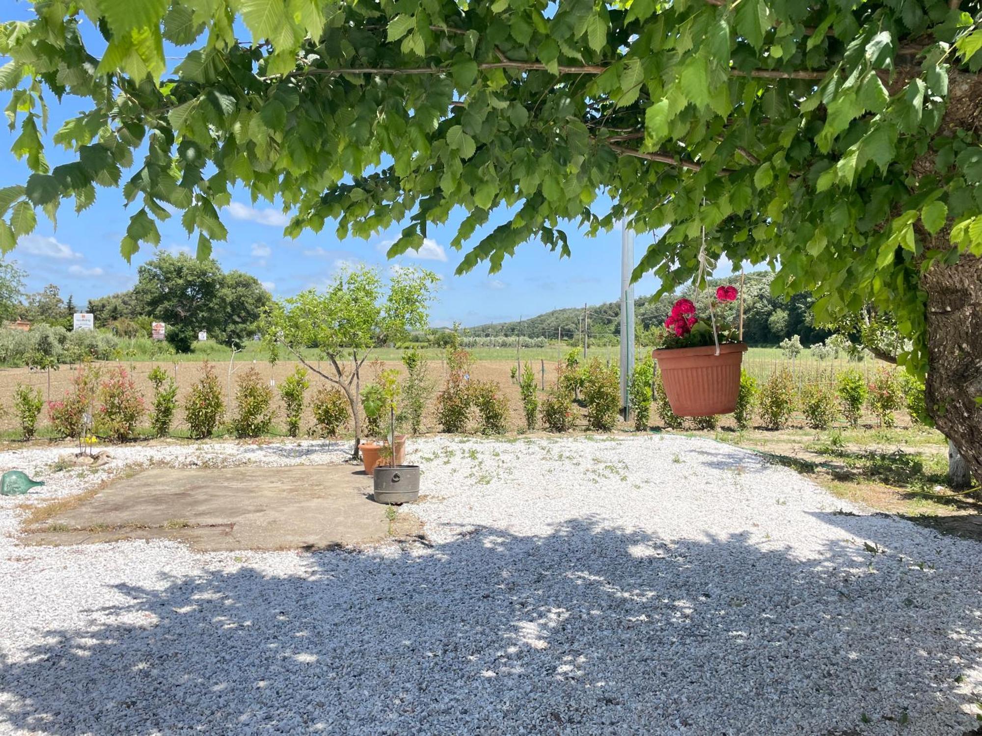 Il Leccio Agriturismo Fiorino المظهر الخارجي الصورة