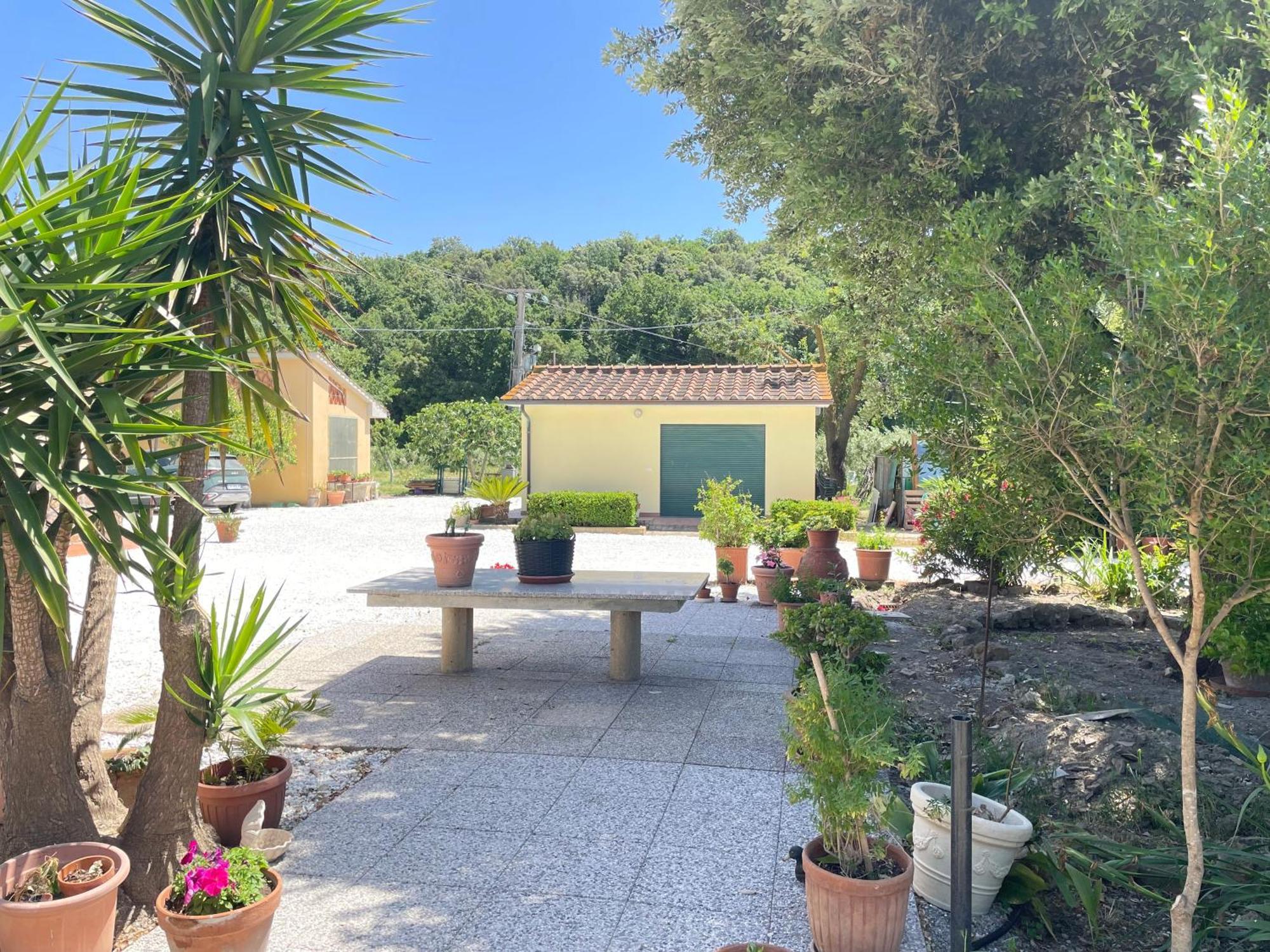 Il Leccio Agriturismo Fiorino المظهر الخارجي الصورة
