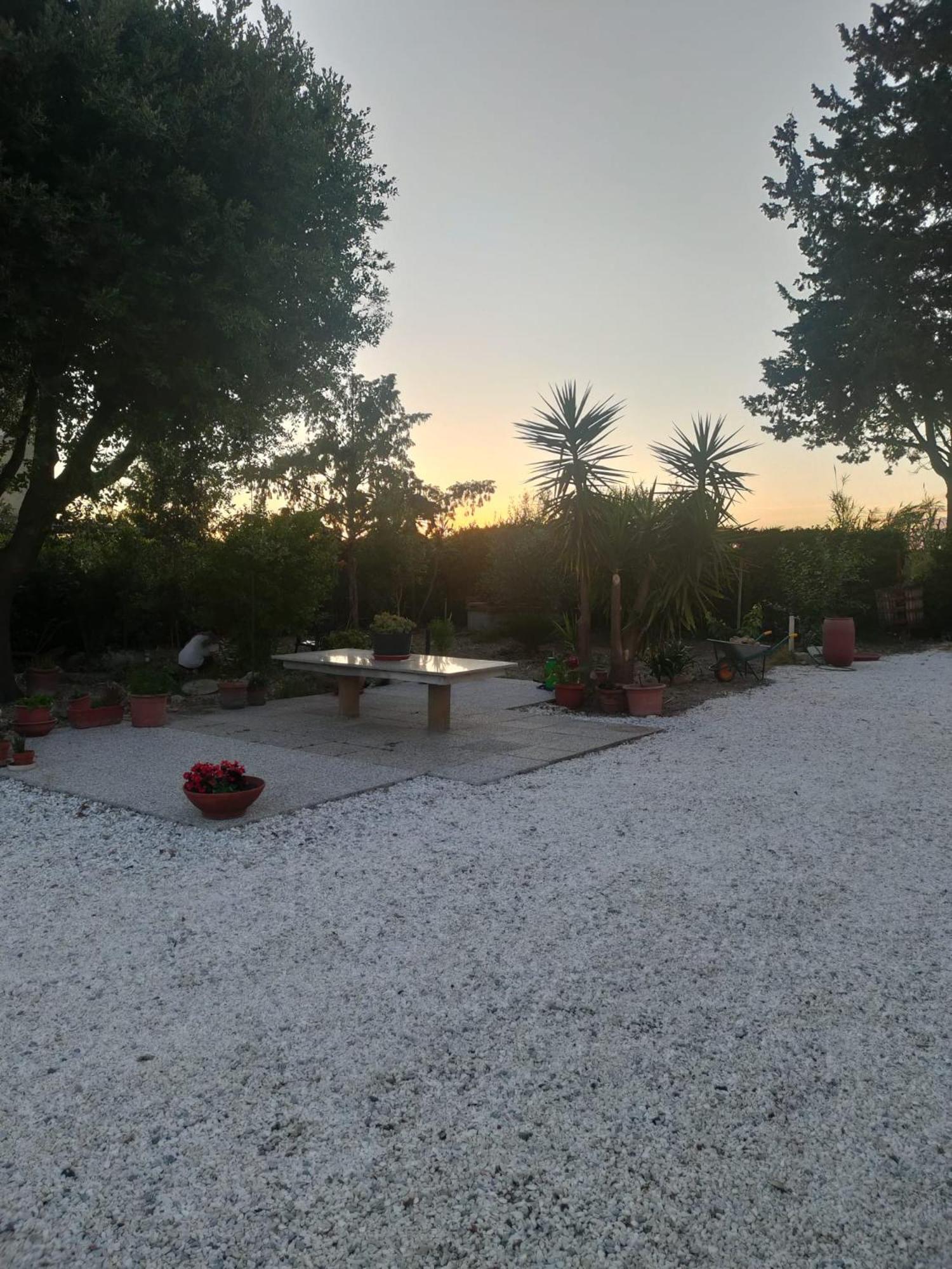 Il Leccio Agriturismo Fiorino المظهر الخارجي الصورة