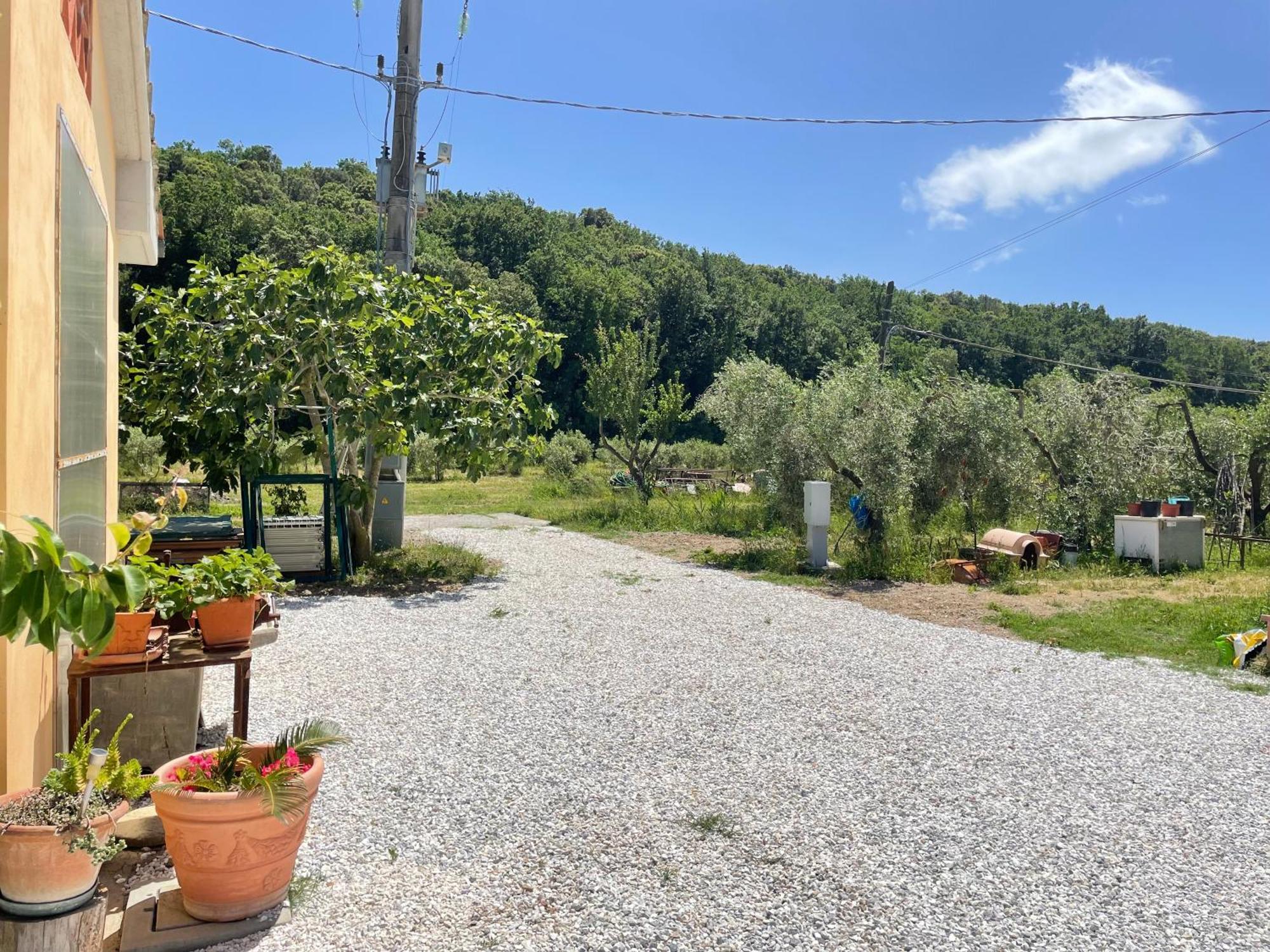 Il Leccio Agriturismo Fiorino المظهر الخارجي الصورة