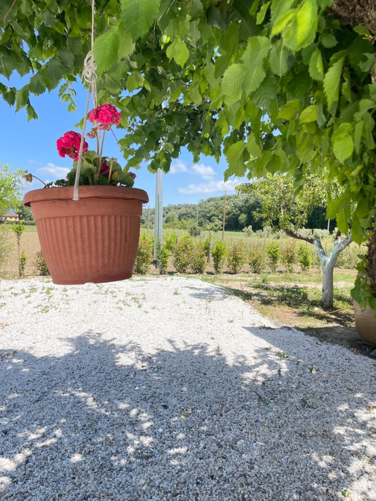 Il Leccio Agriturismo Fiorino المظهر الخارجي الصورة