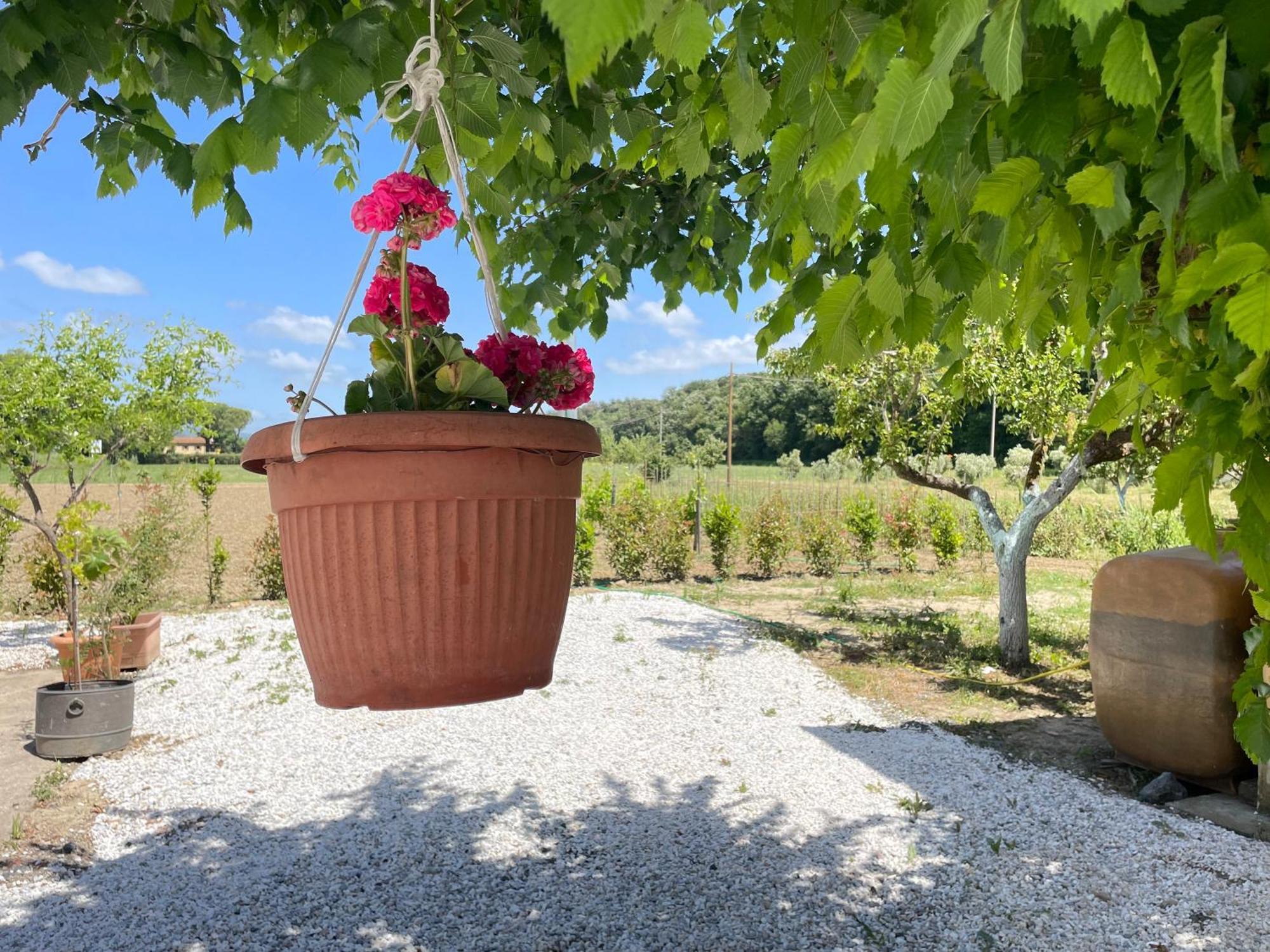 Il Leccio Agriturismo Fiorino المظهر الخارجي الصورة