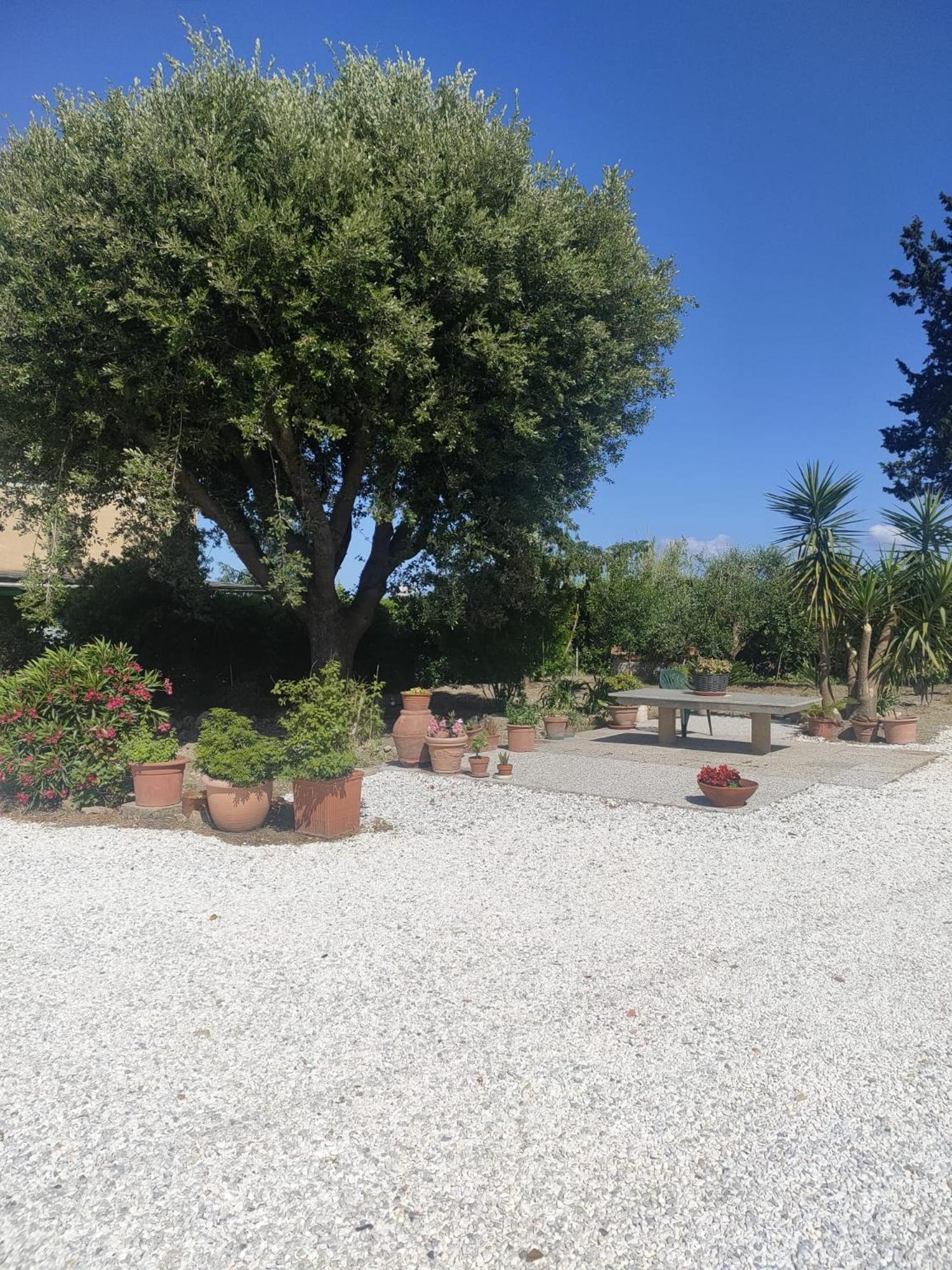 Il Leccio Agriturismo Fiorino المظهر الخارجي الصورة
