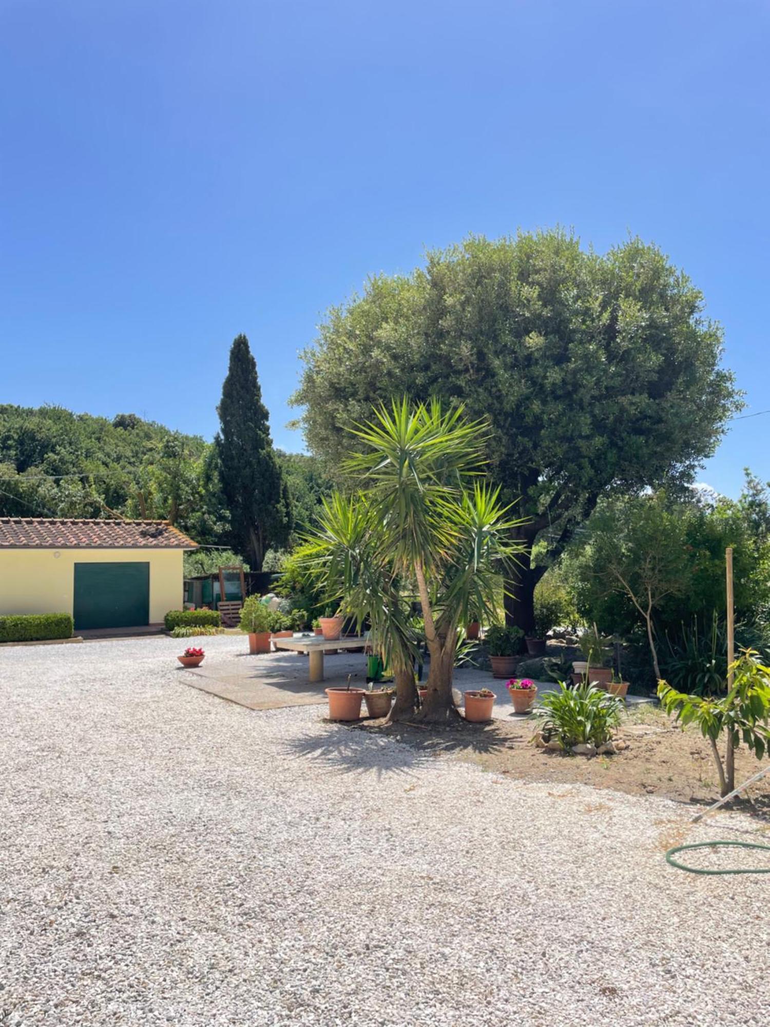 Il Leccio Agriturismo Fiorino المظهر الخارجي الصورة