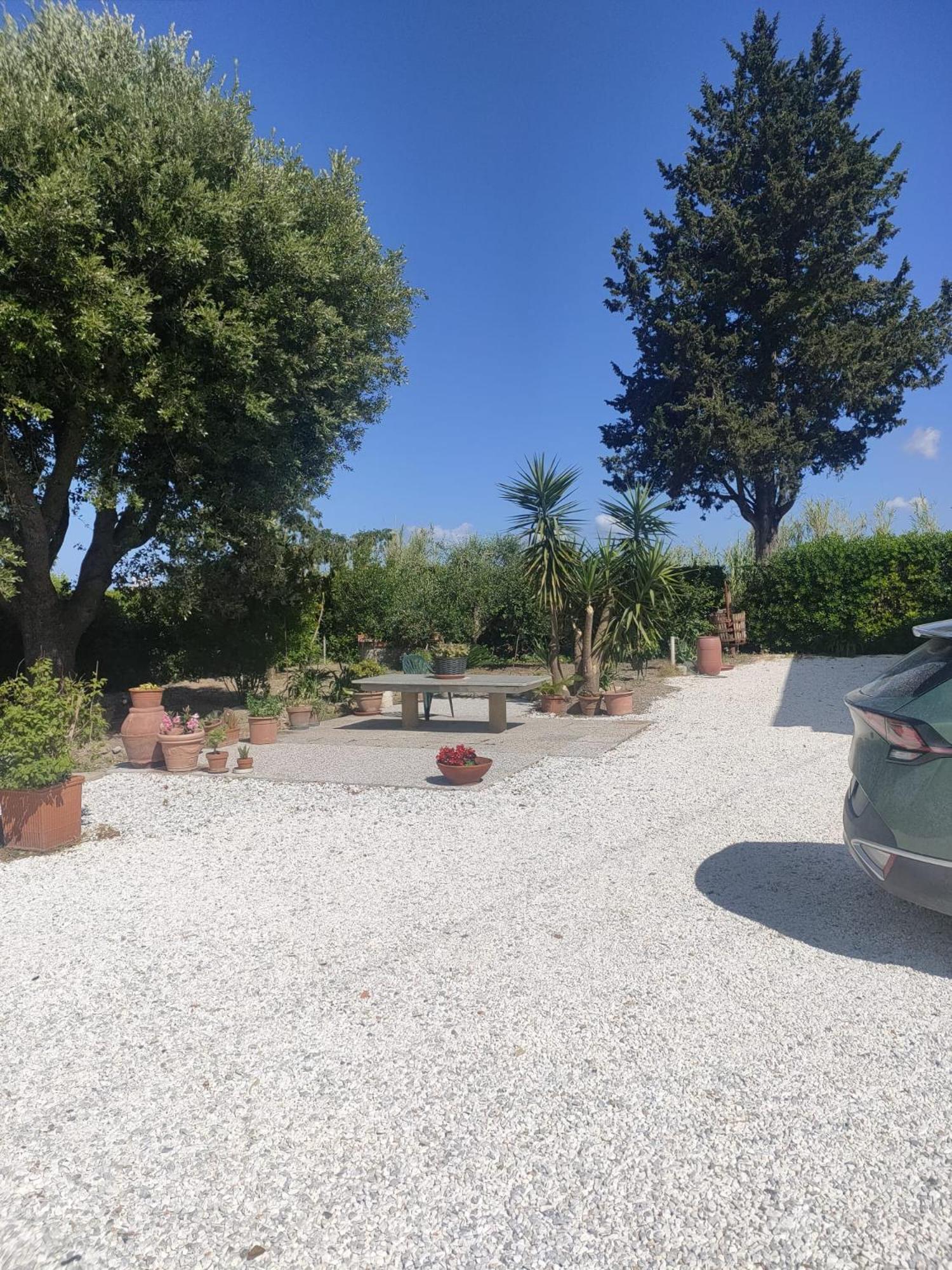 Il Leccio Agriturismo Fiorino المظهر الخارجي الصورة
