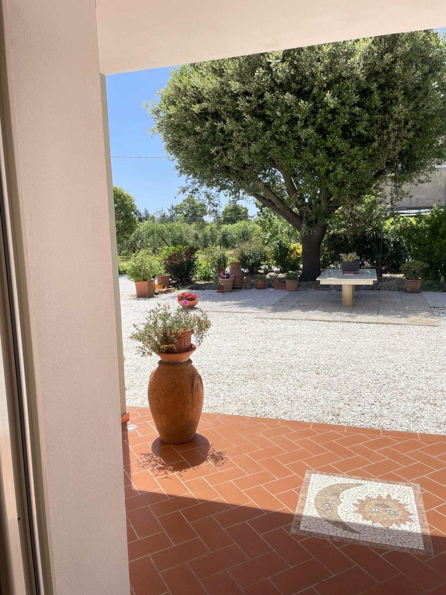 Il Leccio Agriturismo Fiorino المظهر الخارجي الصورة